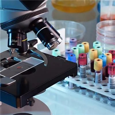 肾病综合征能活多久