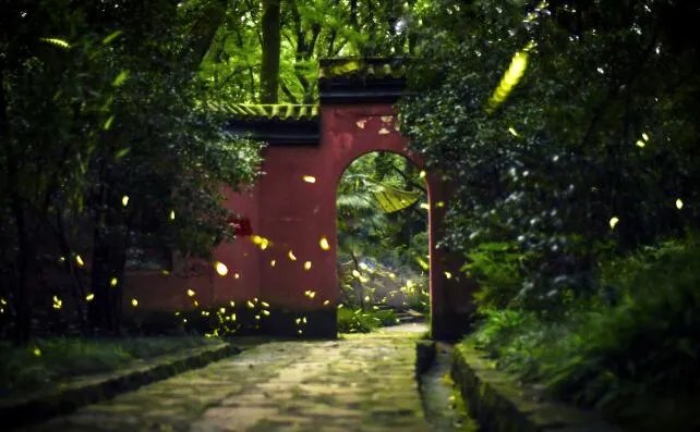 萤火虫在发光的同时也在发热吗 萤火虫发的光属于什么光