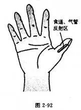 砭萃网官网杨奕手到病除中有食道癌的反射区在脚的哪个部位?