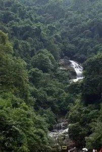 广东省罗定市有那些旅游景点呢？我想去呀！