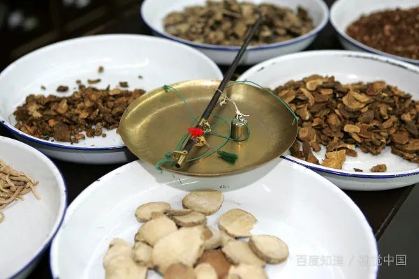 某大师说中药不治病，都是骗人的，你怎么看？