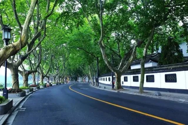 千万不要来杭州，我是认真的