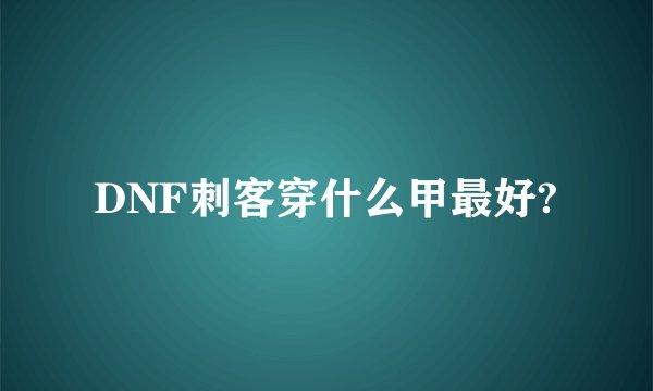 DNF刺客穿什么甲最好?