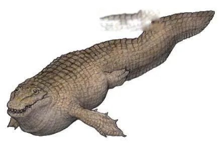 亚马逊莫拉氏鳄vs泰坦蟒谁更厉害 亚马逊莫拉氏鳄有多大