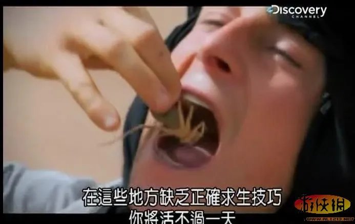 饭前饭后勿入:舌尖上的贝爷你敢吃其中几样?