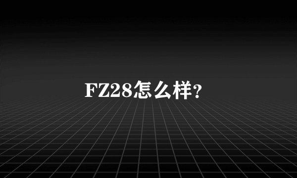 FZ28怎么样？