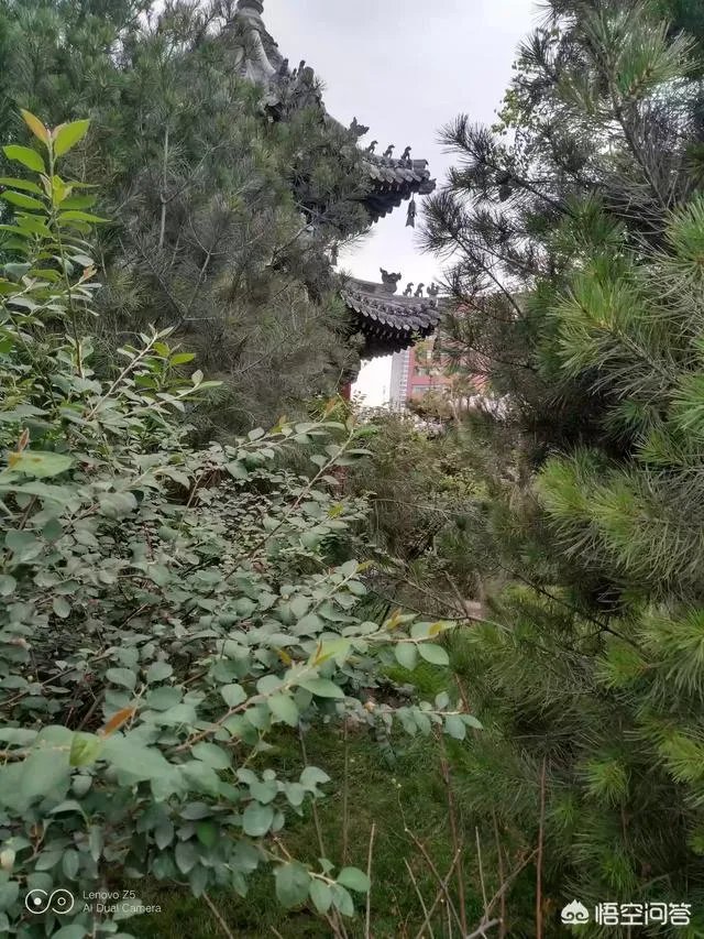 如何评价有人说罗永浩发布会总是迟到？