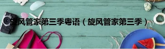 旋风管家第三季粤语（旋风管家第三季）