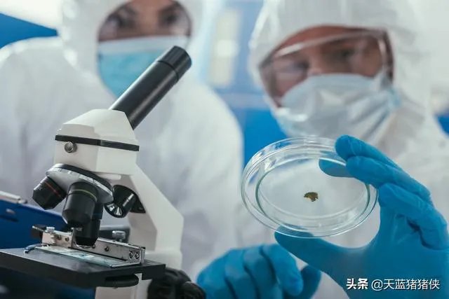 石家庄封城第一个七天快结束了，接下来会是什么样？