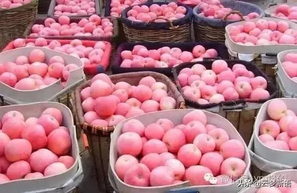 现在苹果价格的行情如何？