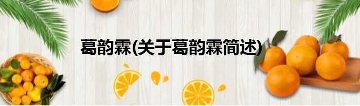 葛韵霖(关于葛韵霖简述)