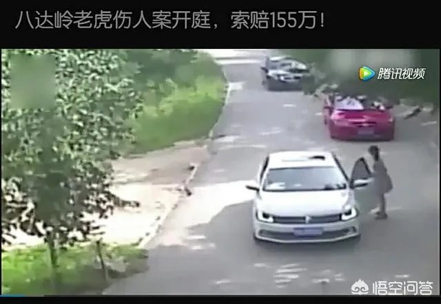 高铁扒门女教师究竟错在哪了？