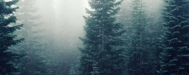 何当共剪西窗烛的下一句是什么