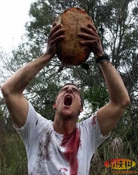 饭前饭后勿入:舌尖上的贝爷你敢吃其中几样?