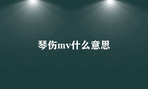 琴伤mv什么意思