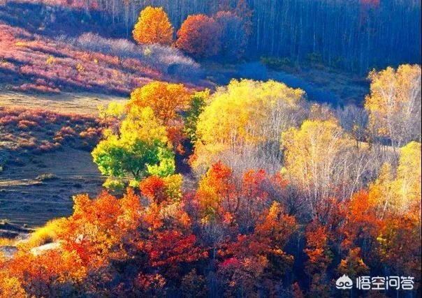 为什么呼伦贝尔只有两个月的旅游旺季,和别的月份有什么区别?