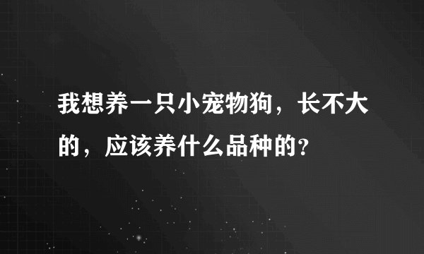 我想养一只小宠物狗，长不大的，应该养什么品种的？