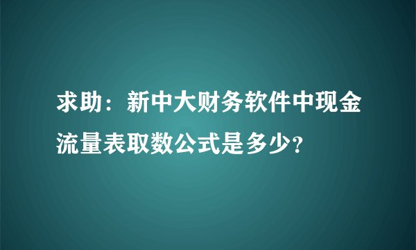 求助:新中大财务软件中现金流量表取数公式是多少?