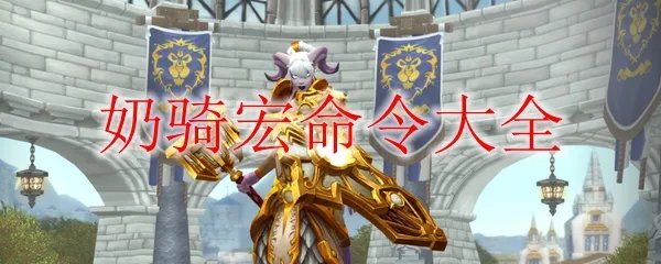 《魔兽世界》9.0奶骑宏命令大全