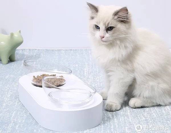 宠物碗怎么选择