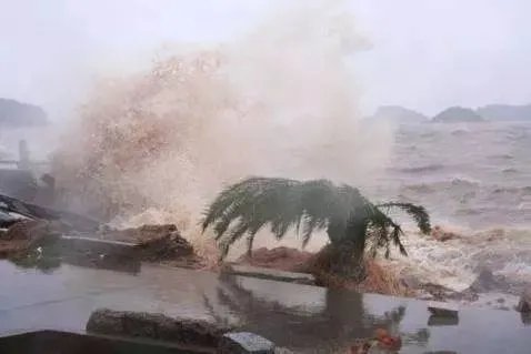 台风“黑格比”浙江乐清登陆，台风来临我们如何自我保护？
