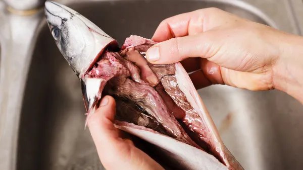 一日三餐必不可少 带你揭秘三餐进食的最佳时间