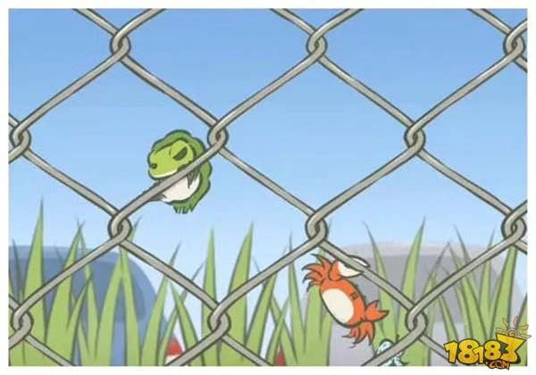 旅行青蛙图片明信片汇总 旅行青蛙相册大全