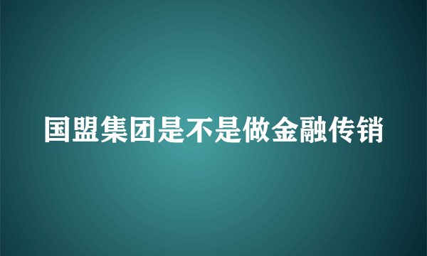 国盟集团是不是做金融传销