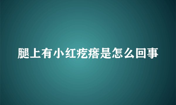 腿上有小红疙瘩是怎么回事