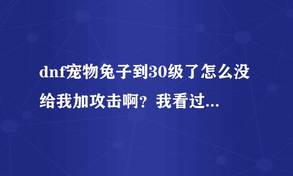 dnf宠物兔子到30级了怎么没给我加攻击啊？我看过属性栏丝毫没变化，谁能指点下啊！！