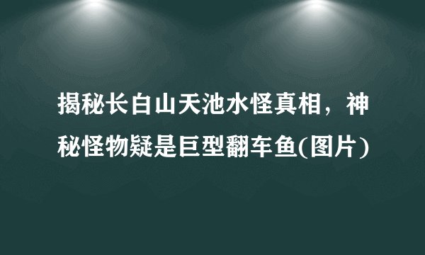 揭秘长白山天池水怪真相,神秘怪物疑是巨型翻车鱼(图片)
