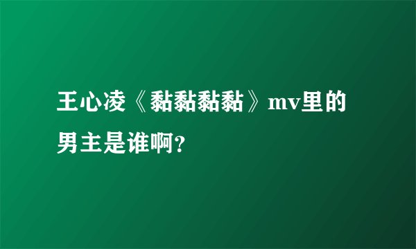 王心凌《黏黏黏黏》mv里的男主是谁啊？