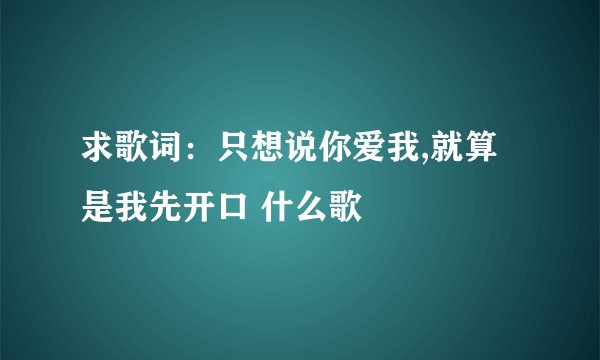 求歌词：只想说你爱我,就算是我先开口 什么歌