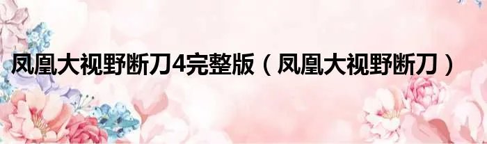 凤凰大视野断刀4完整版（凤凰大视野断刀）
