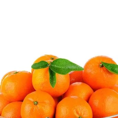 吃糖丸注意事项