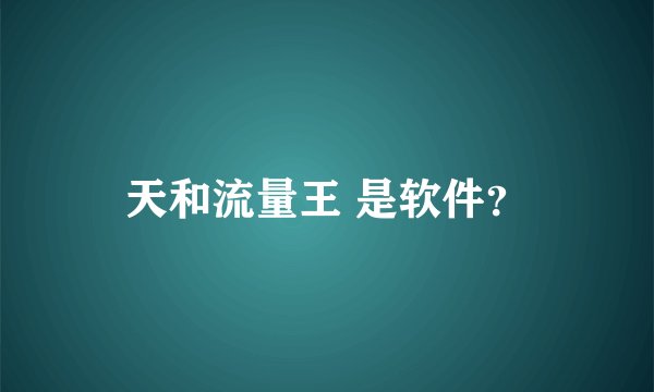 天和流量王 是软件?