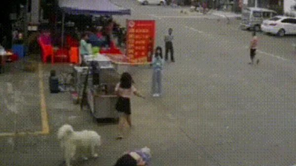 顺德牵狗女孩称不在乎他人评价，你怎么看？