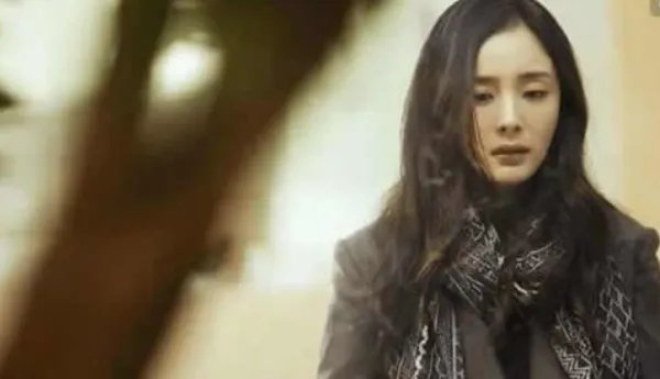 官媒发文杨幂诈捐什么情况？