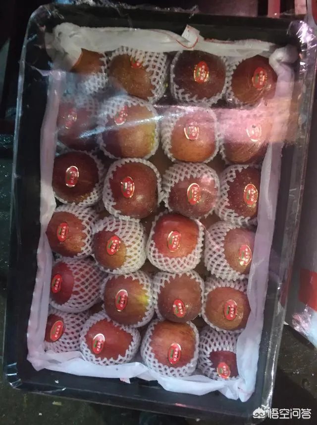 现在苹果价格的行情如何？