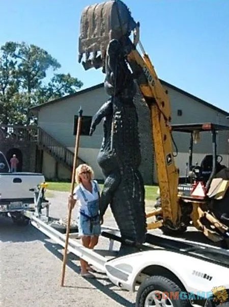 大得难以想象 那些震撼世人的巨型动物