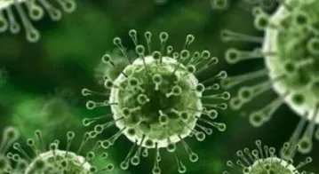 白宫医生：拜登或感染BA.5变异株，此类毒株特点是什么？