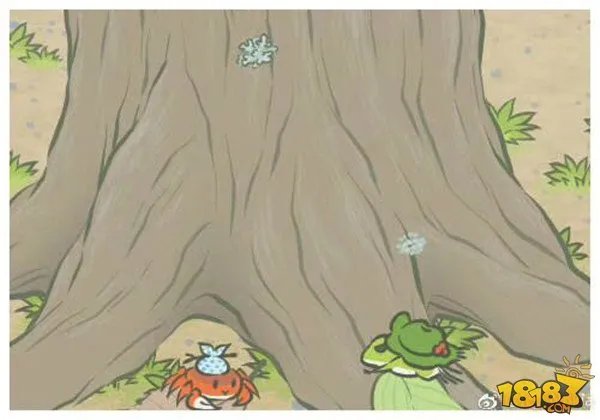 旅行青蛙图片明信片汇总 旅行青蛙相册大全