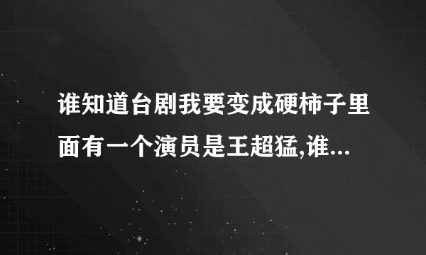 谁知道台剧我要变成硬柿子里面有一个演员是王超猛,谁有他的资料?