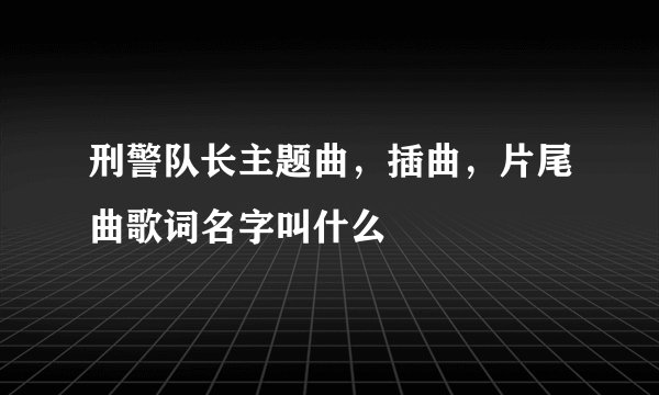 刑警队长主题曲，插曲，片尾曲歌词名字叫什么