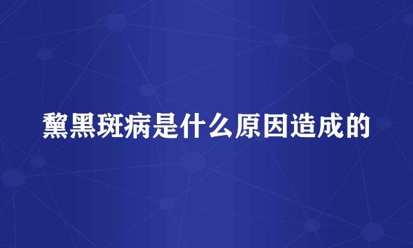 黧黑斑病是什么原因造成的