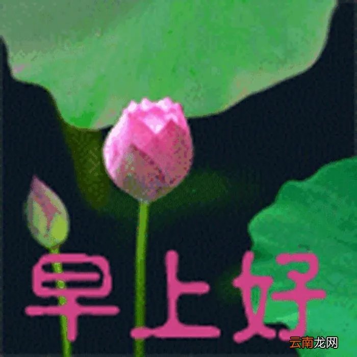 亲爱的最美早晨好动态图片大全 情人早上问候语动态图片