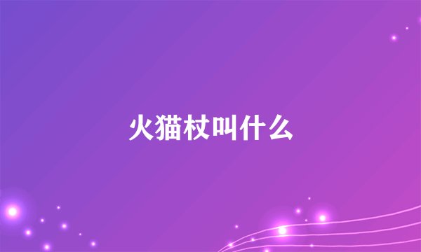 火猫杖叫什么