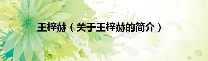 王梓赫（关于王梓赫的简介）