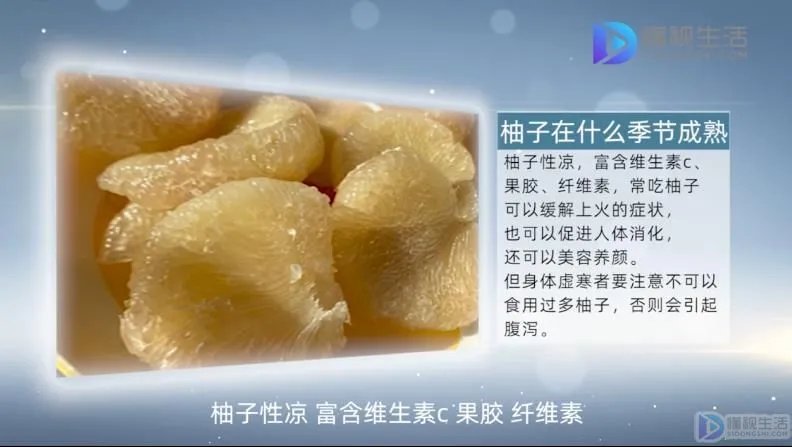 柚子什么季节成熟