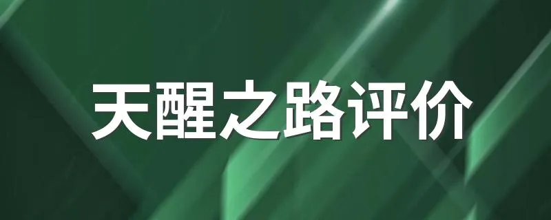 天醒之路评价 作者是谁啊
